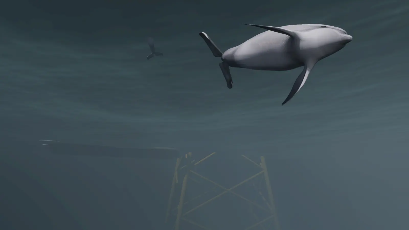 Dolphins swimming near a submerged offshore structure